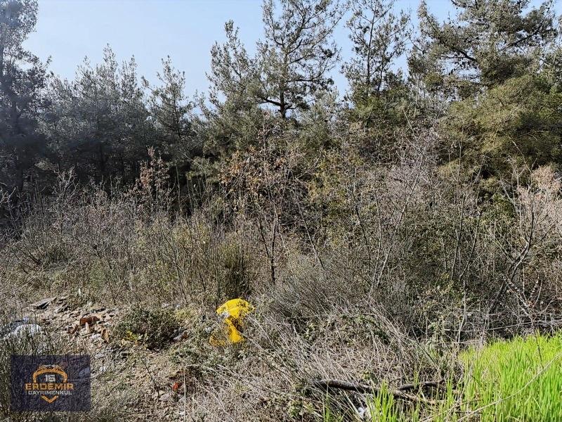 Bursa Nilüfer Kayapa/zafer Satılık Villa İmarlı Arsa - 4