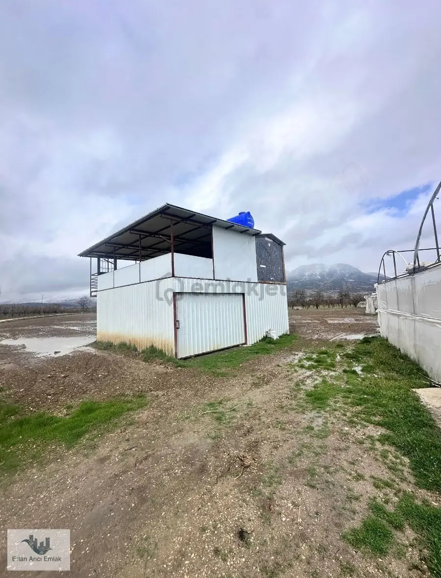 Elmalı Akçay Da Kelepir Sera& Bahçe... - 11