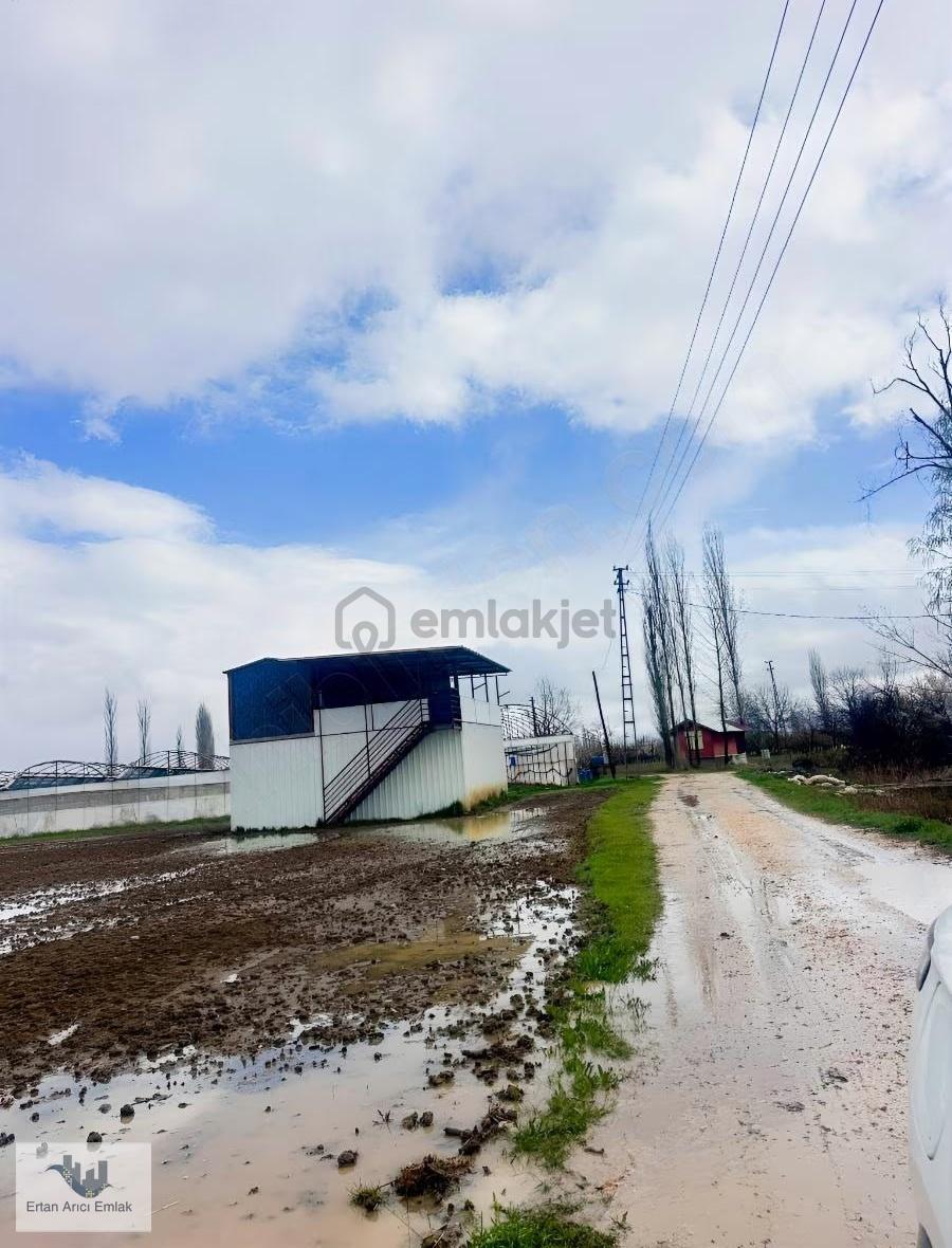 Elmalı Akçay Da Kelepir Sera& Bahçe... - 4