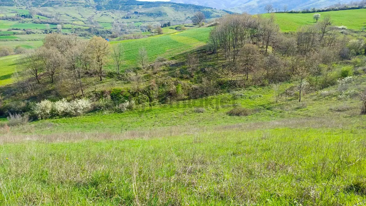 Uzmanlar'dan Kızderbent 6325 M2 %5 İmarlı Satılık Tarla - 10
