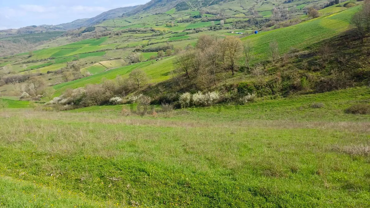 Uzmanlar'dan Kızderbent 6325 M2 %5 İmarlı Satılık Tarla - 3