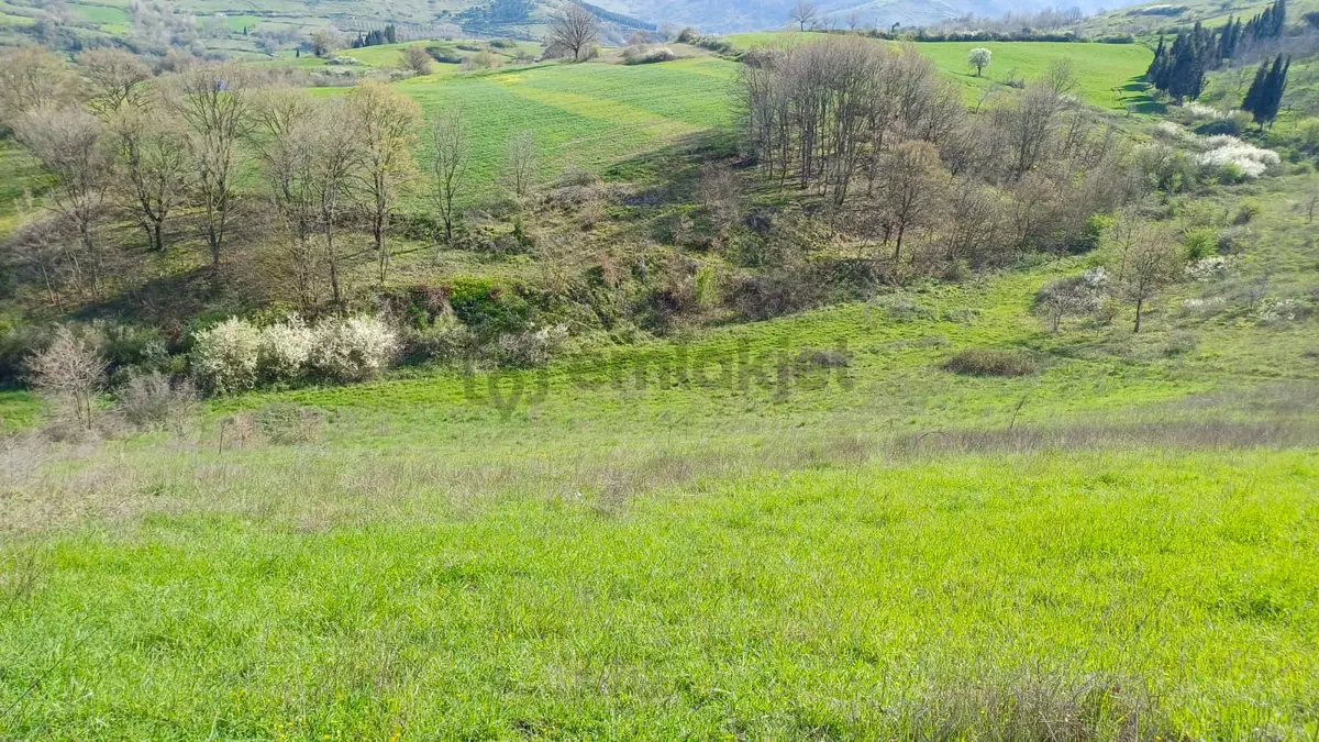 Uzmanlar'dan Kızderbent 6325 M2 %5 İmarlı Satılık Tarla - 7