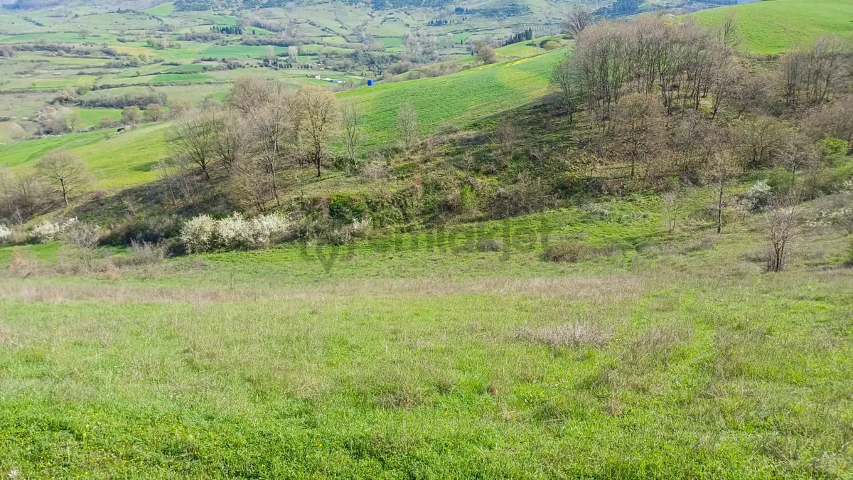Uzmanlar'dan Kızderbent 6325 M2 %5 İmarlı Satılık Tarla - 6