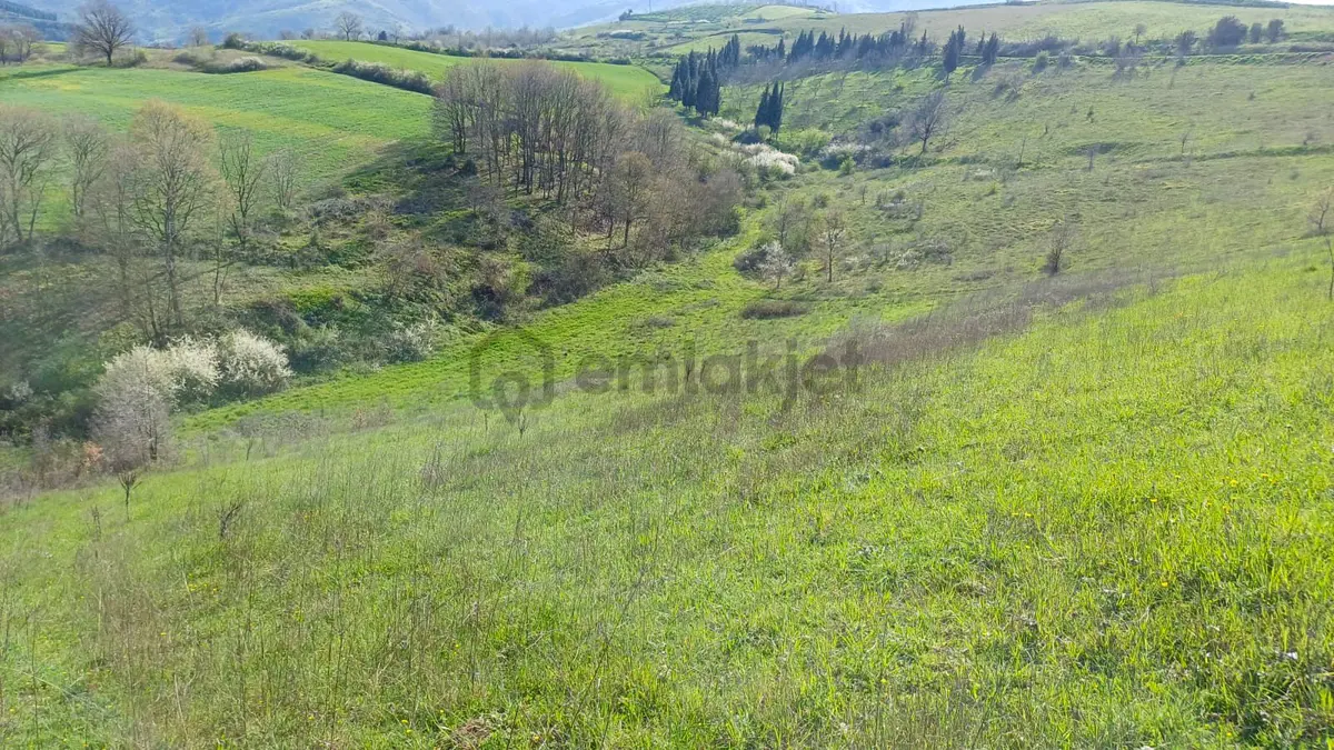 Uzmanlar'dan Kızderbent 6325 M2 %5 İmarlı Satılık Tarla - 9