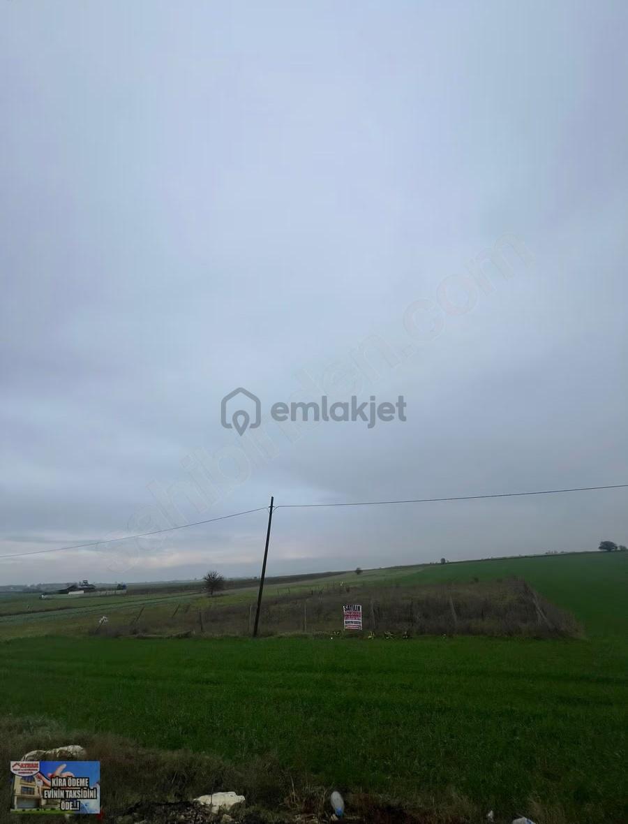 Saray'da Cadde Cephe 1625m2 Acil Satılık Tarla - 5