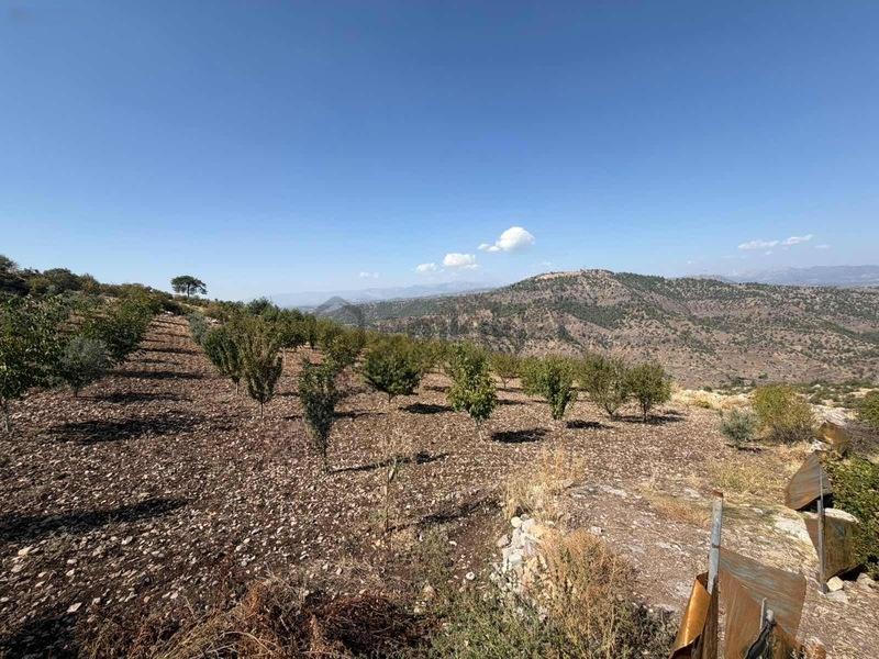 Sarıçukurda Süper Konumda Yazlık Villa Yeri - 14