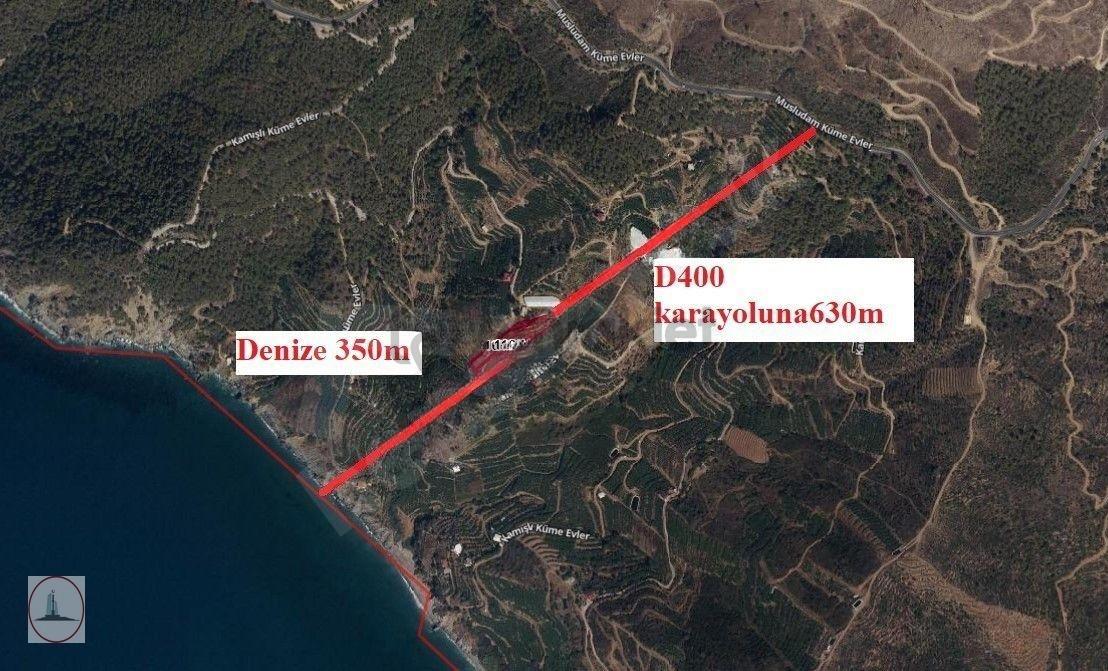 Anıtlı'da Fırsat Tarla