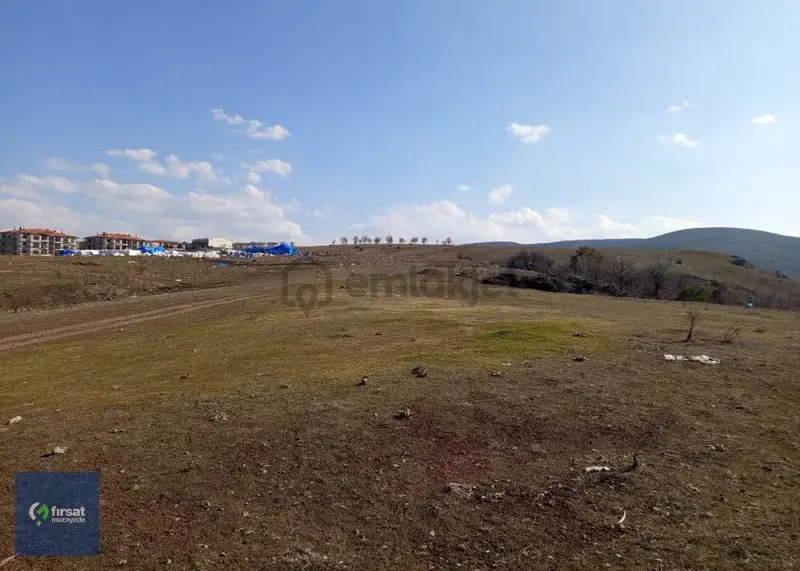 Alırken Kazanmanın Adresi ''fırsat Müzayede'' - 10