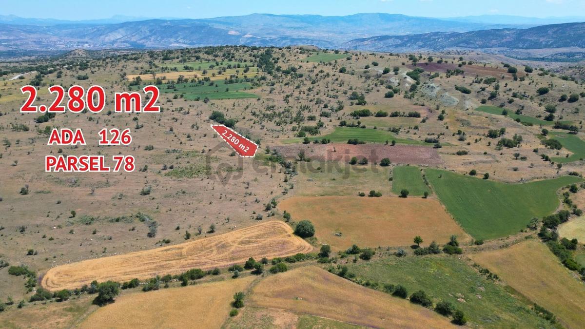 Korgun Marufta 5 Adet Parsel İster Toplu İster Tek Parça - 3