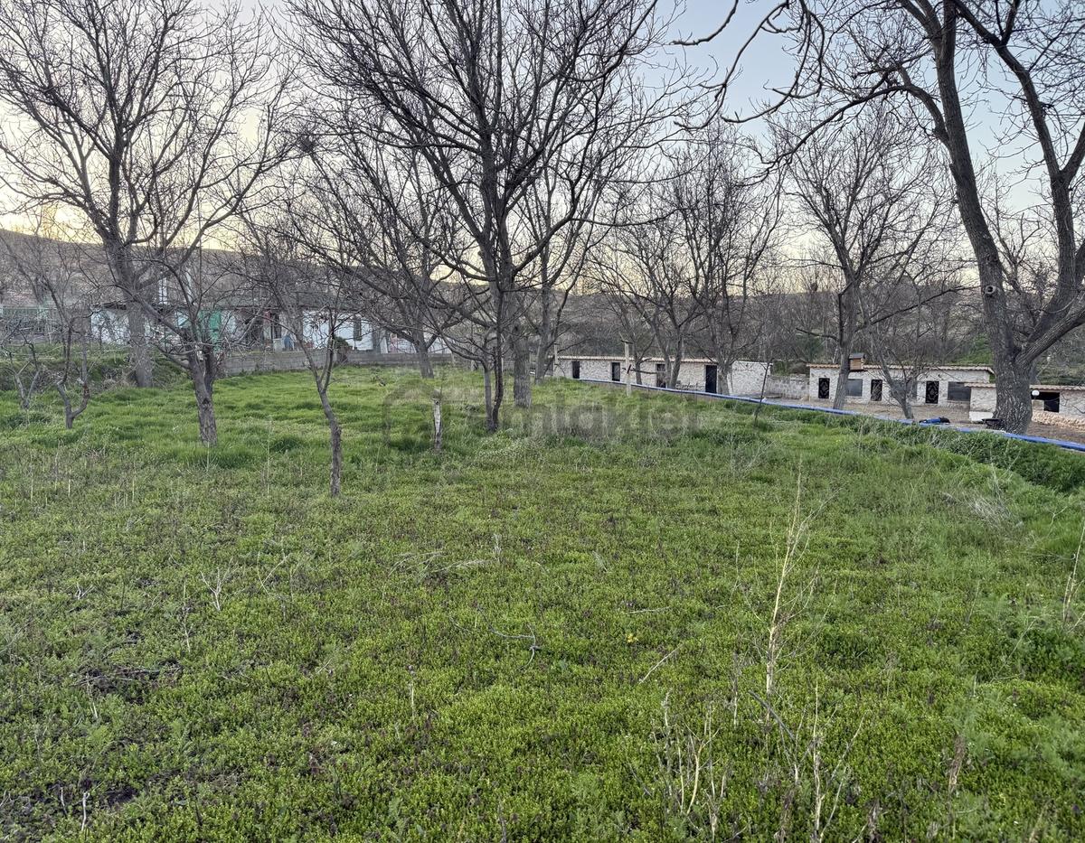Şanlıbaba Emlak'tan Nar Da Satılık 630 M2 Bahçe - 7