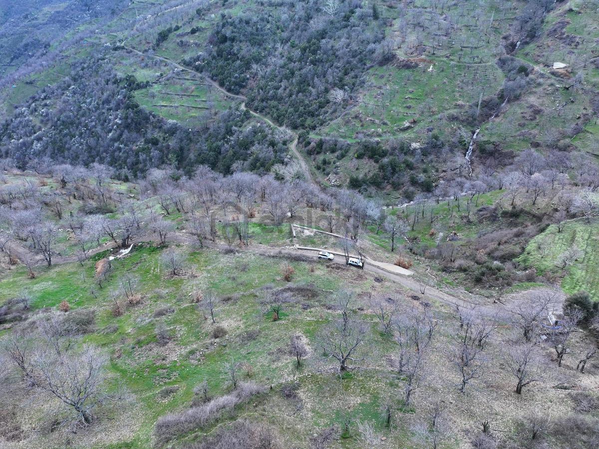 Yaylapınarda Eşsiz Manzaralı Hazır Bahçe - 7