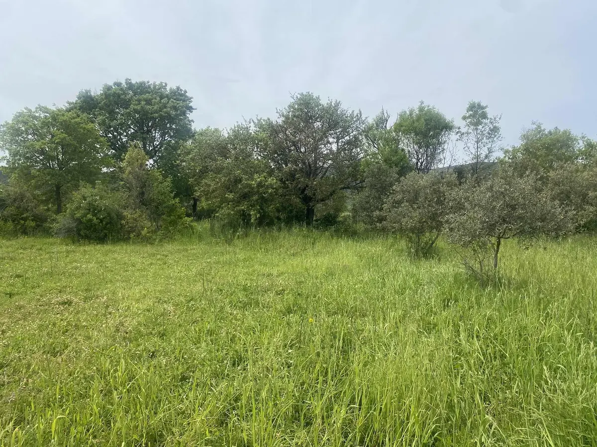 Muğla Menteşe Akkaya Satılık 1453 M² Tarla - 33