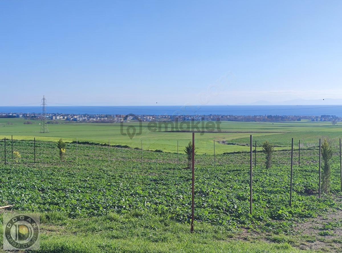 Tekirdağ Marmaraereğlisinde Acil Satılık Kelepir Arsa - 14