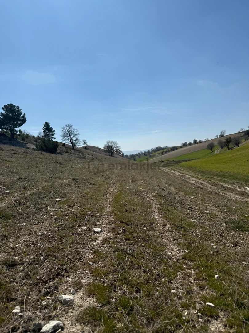 Kütahya Altıntaş Oysu 4070 M2 - 10
