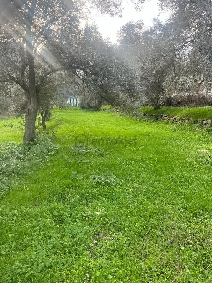 Bayındır Ilıcada Termal Bölgede Satılık Villa İmarlı Arsa - 7
