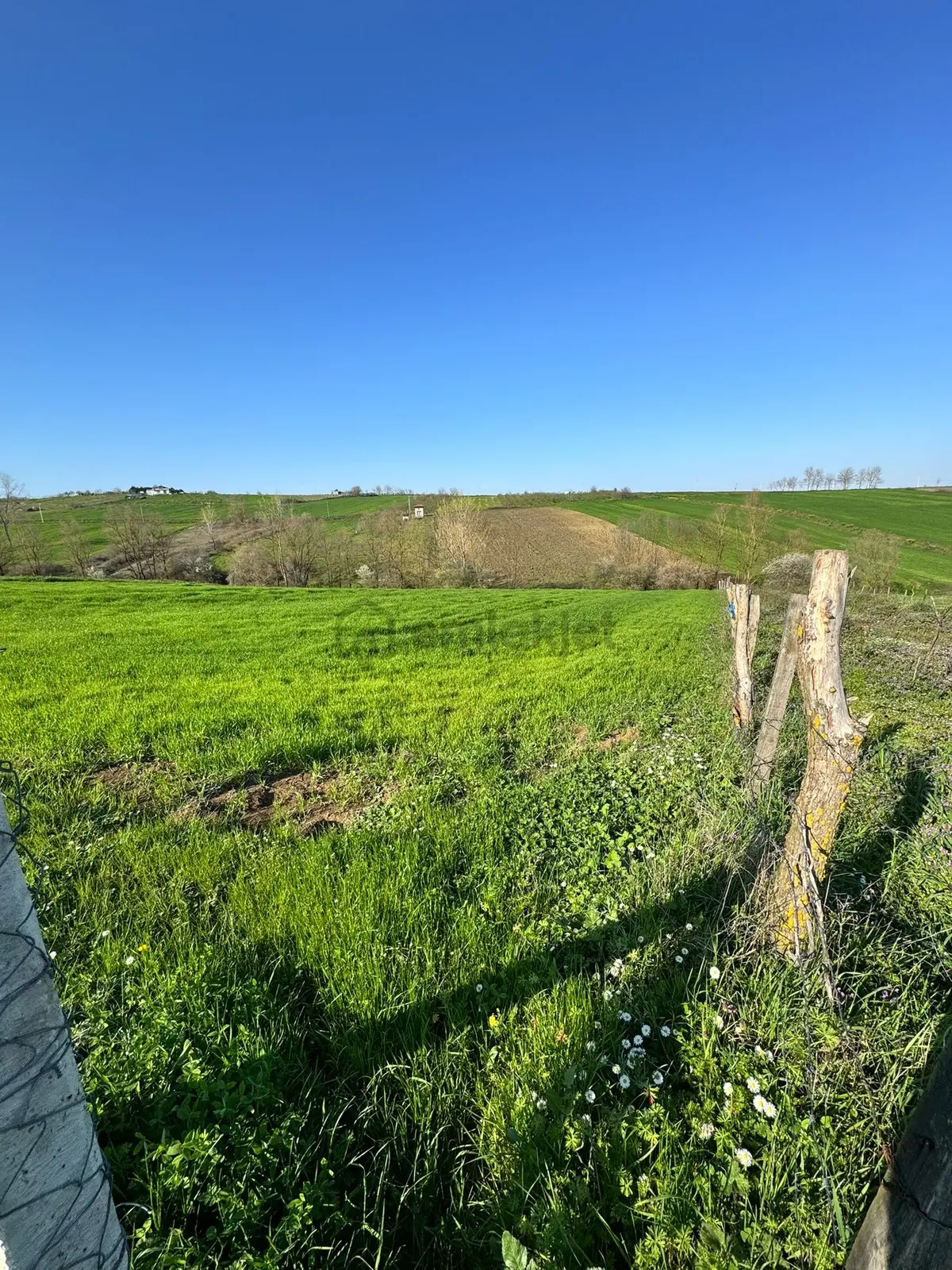 Kandıra Şerefsungurda Doğa İçinde 907 M² Satılık Tarla - 9