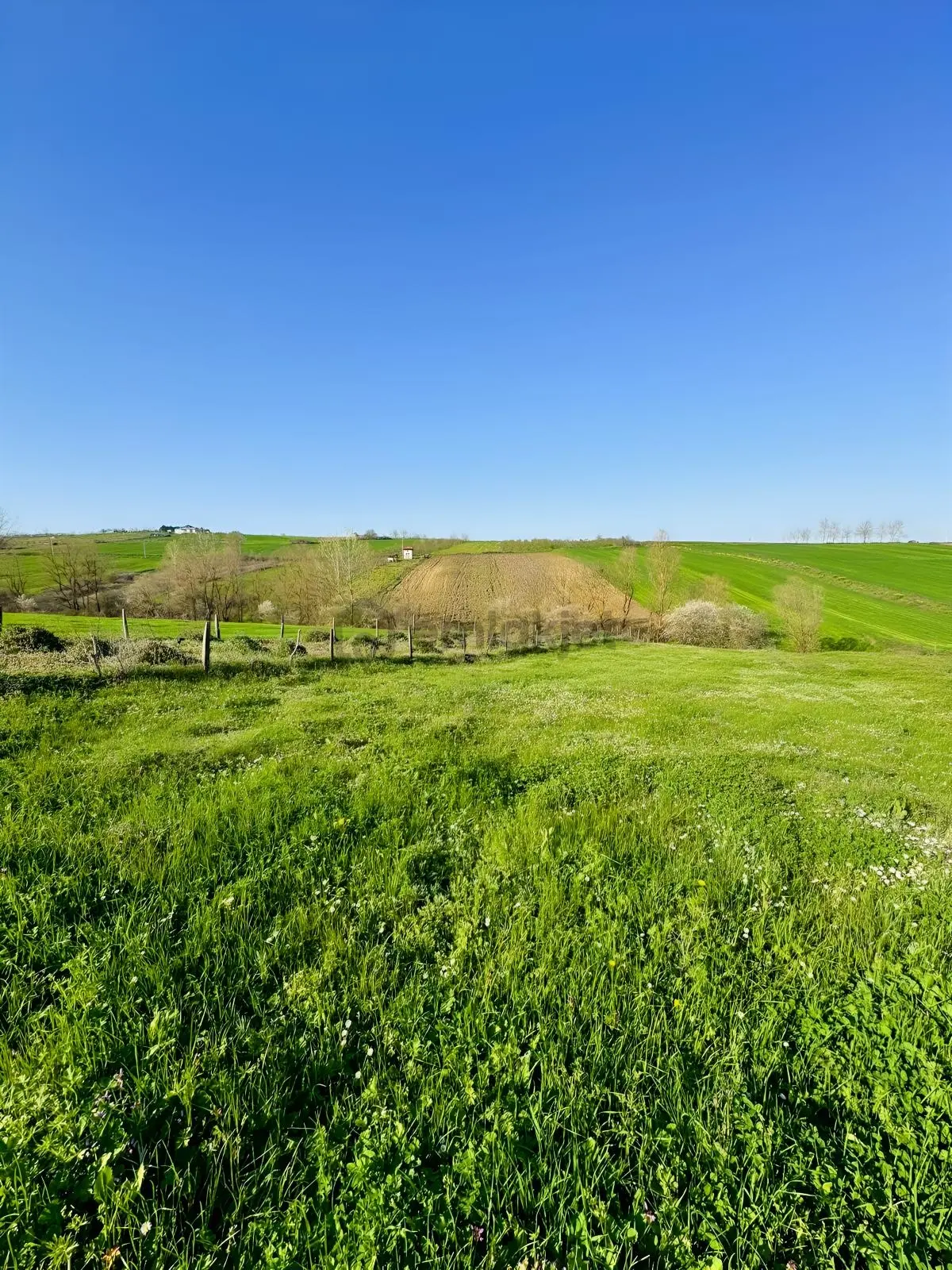 Kandıra Şerefsungurda Doğa İçinde 907 M² Satılık Tarla - 14