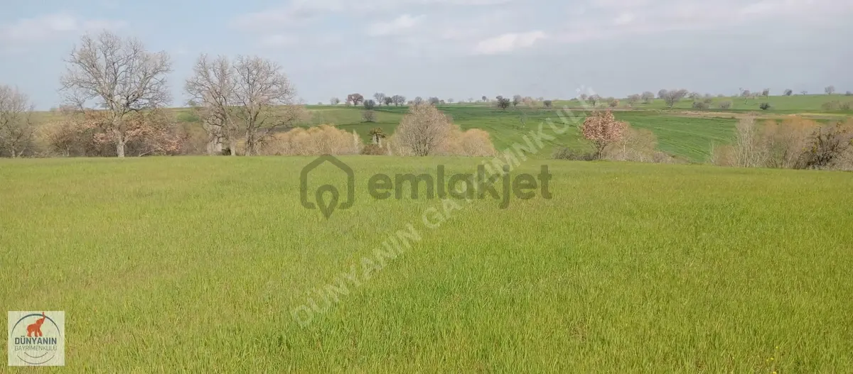 Çanakkale Bigada Ağaköy Girişinde 2462m2 Satılık Tarla - 6