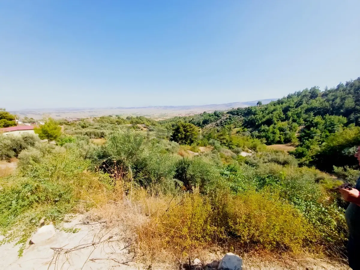 Mersin Tarsus Yanıkkışla Da İçinde Evi Olan Zeytin Bahçesi - 17