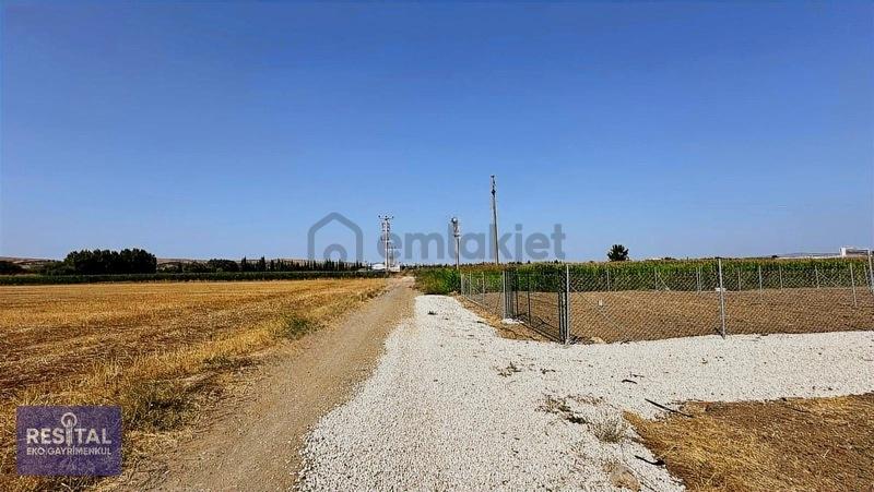 Kemalpaşa Kavaklıda Satılık 200 M2 İmar Dibi Hobi Bahçeleri - 4