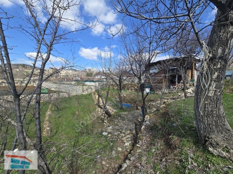 Bozdoğandan Gündüzbeyde Satılık Arsa - 6