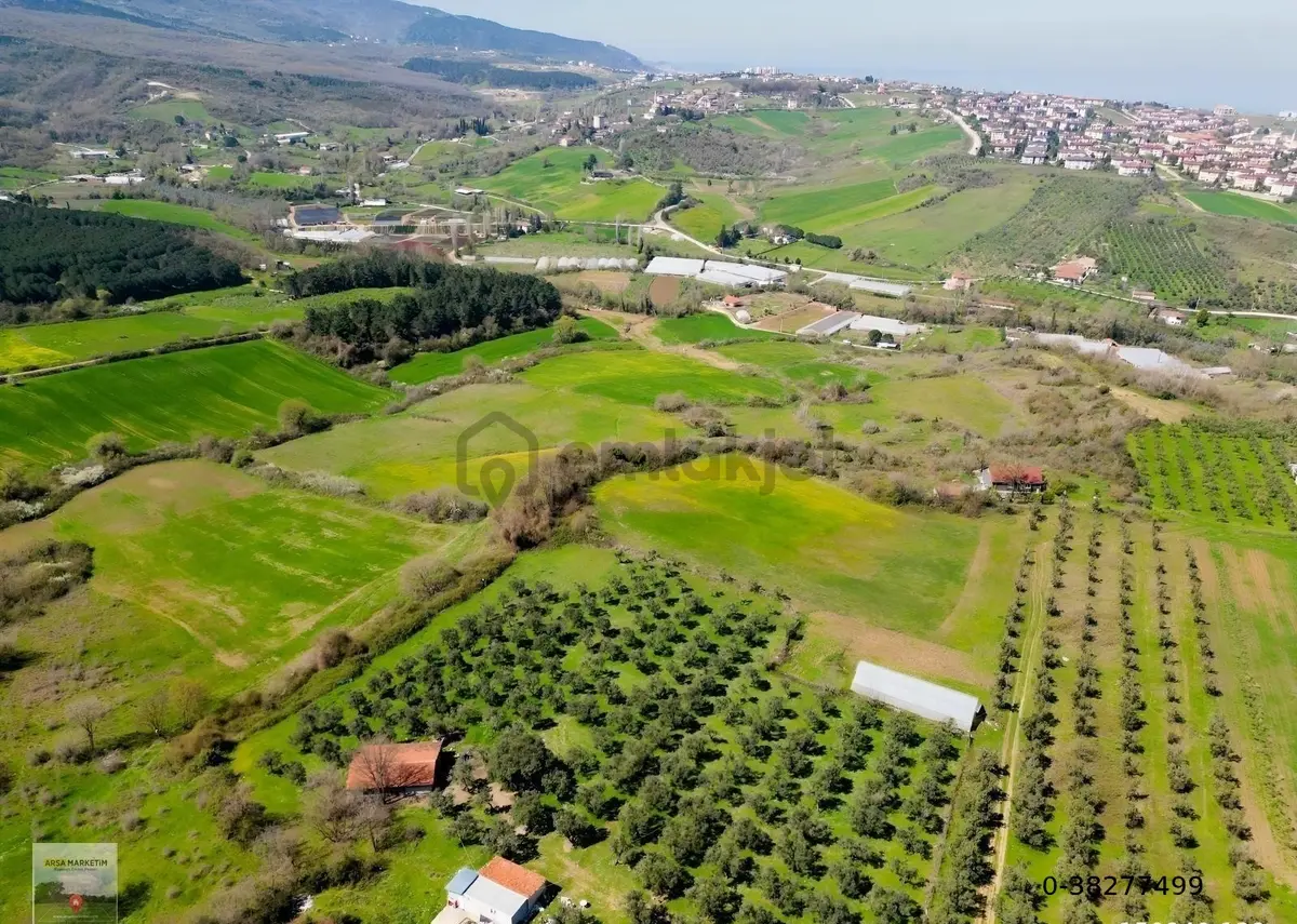 Yalova Termal Akköyde Deniz Manzaralı Tarla - 32