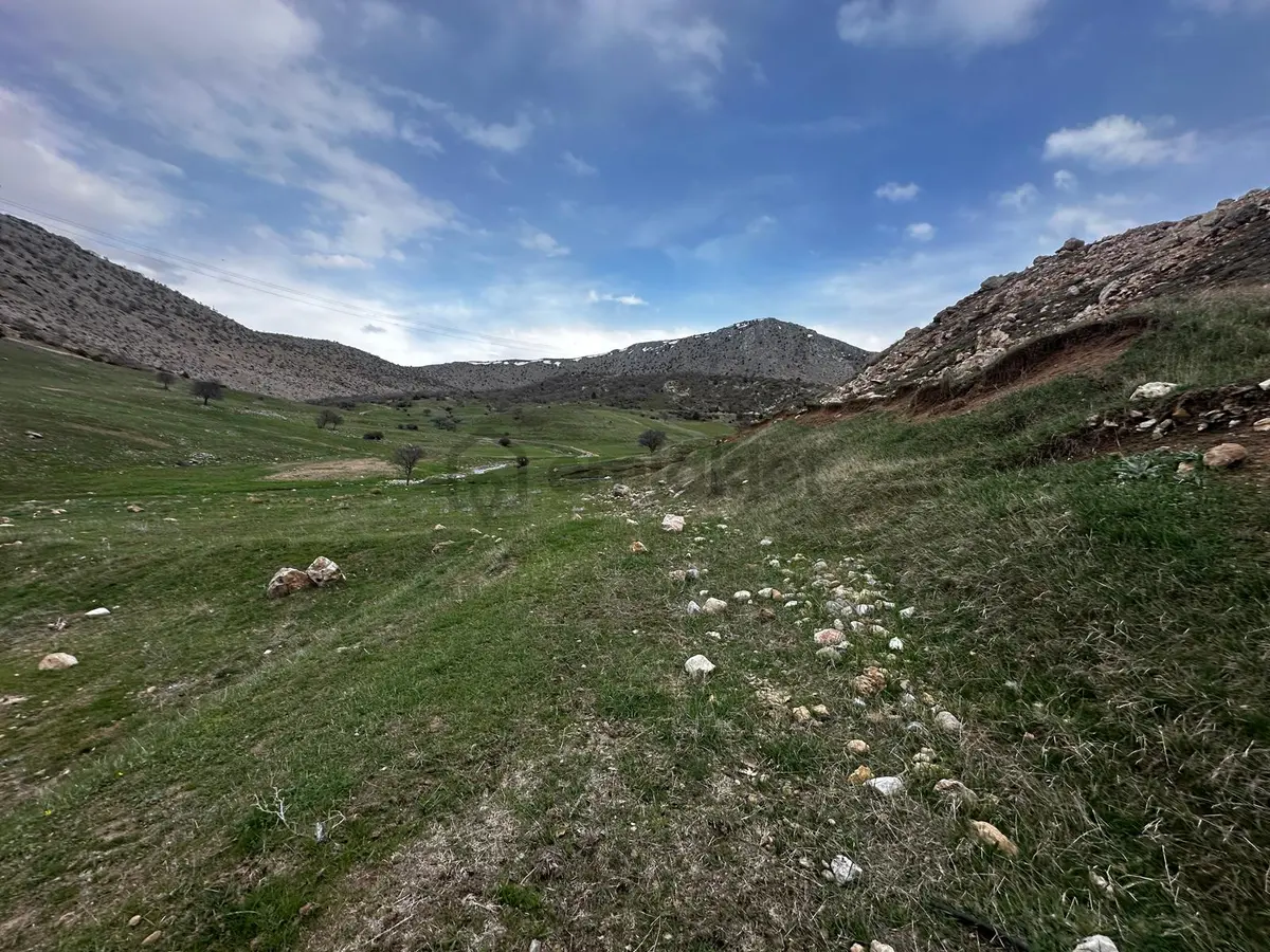 Erzincan İliç Ortatepe Köyünde Satılık Tarla - 6