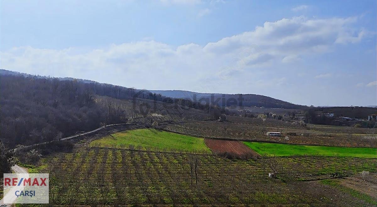 Serdivan Kazımpaşada İmar Sınırında Satılık Tarla - 5
