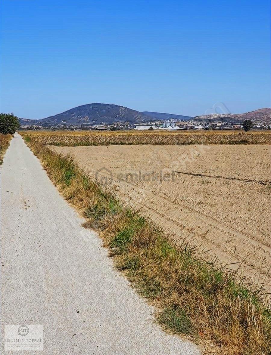Foça Da 7080 M² Kiracılı Arazi - 2