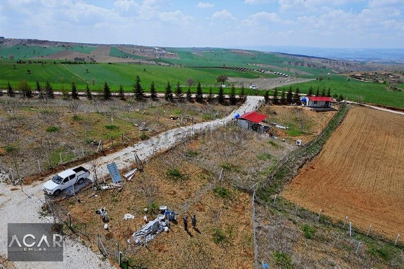 Akyurt'ta , E-devletli, 250 M2, Ceviz Ağaçlı, Sulu , Kameralı - 24