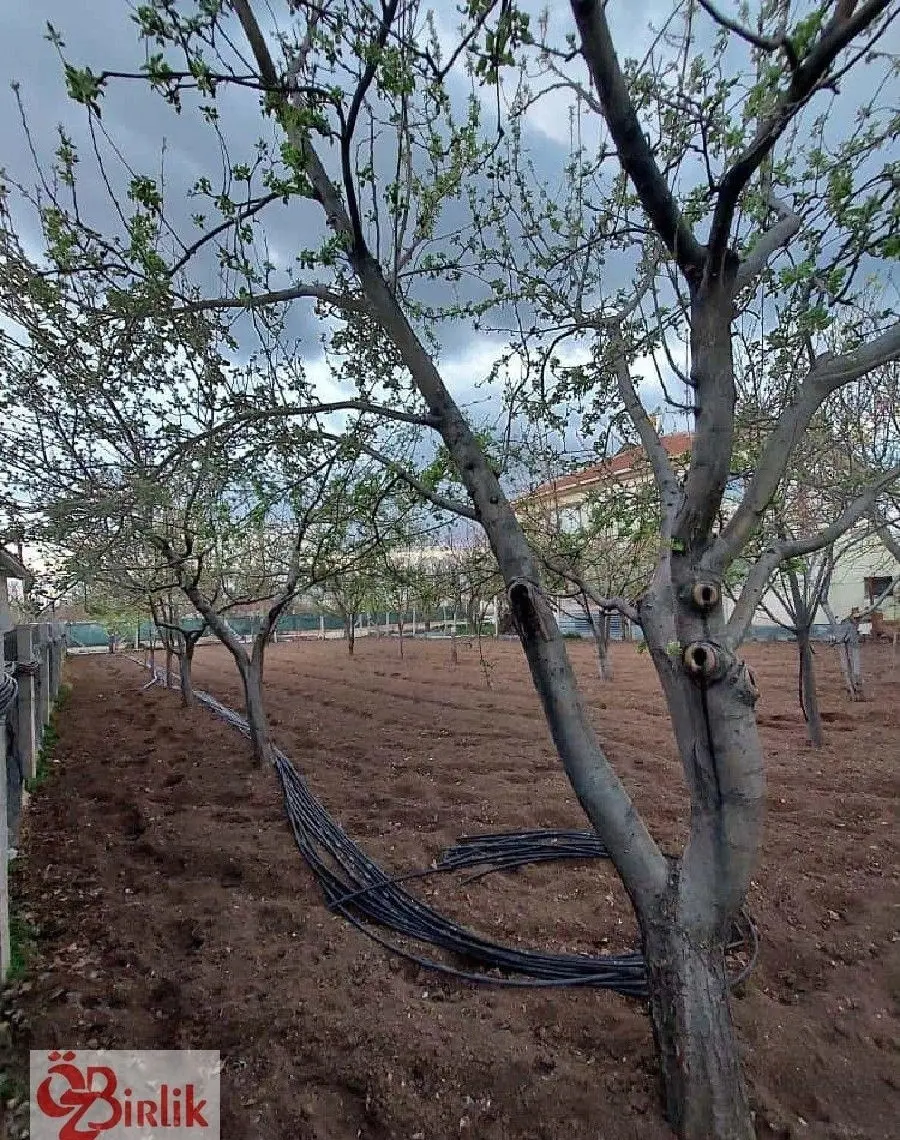 Çubuk Barbaros Mah. Satılık İmarlı Tek Tapu Arsa - 3