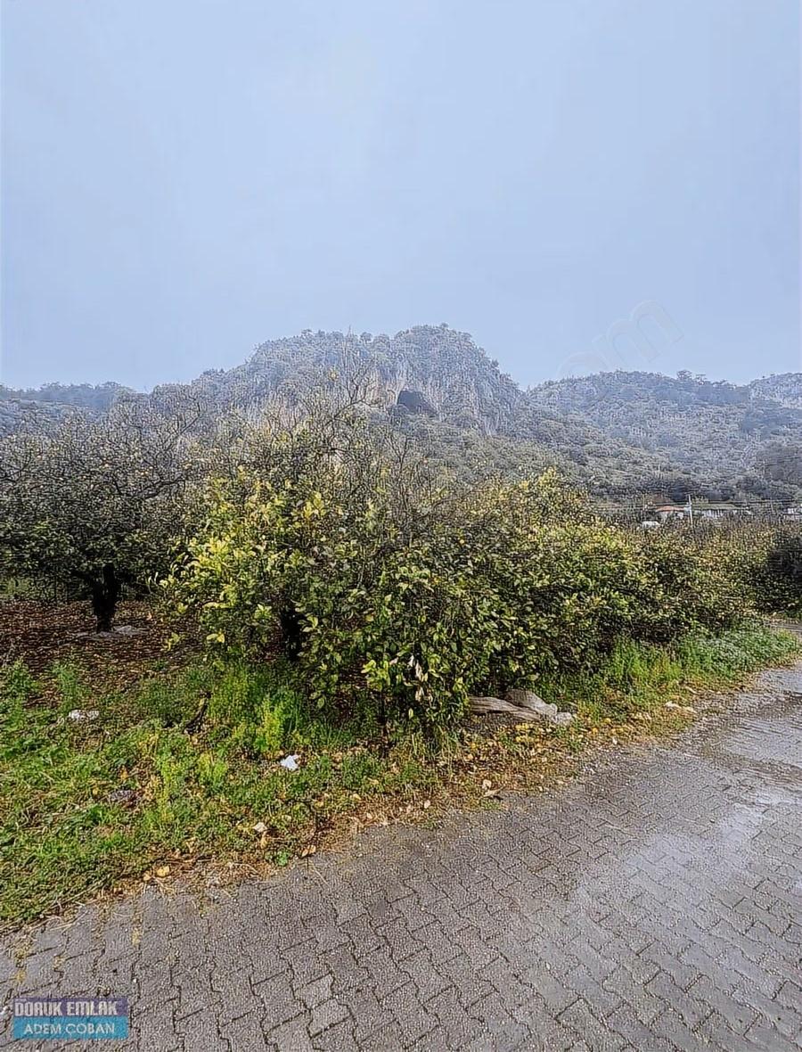 Muğla Ortaca Karadonlar Mahallesinde Satılık Arsa - 3