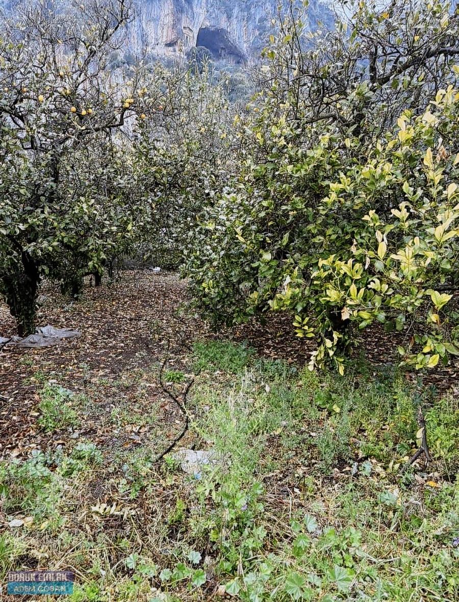 Muğla Ortaca Karadonlar Mahallesinde Satılık Arsa - 5