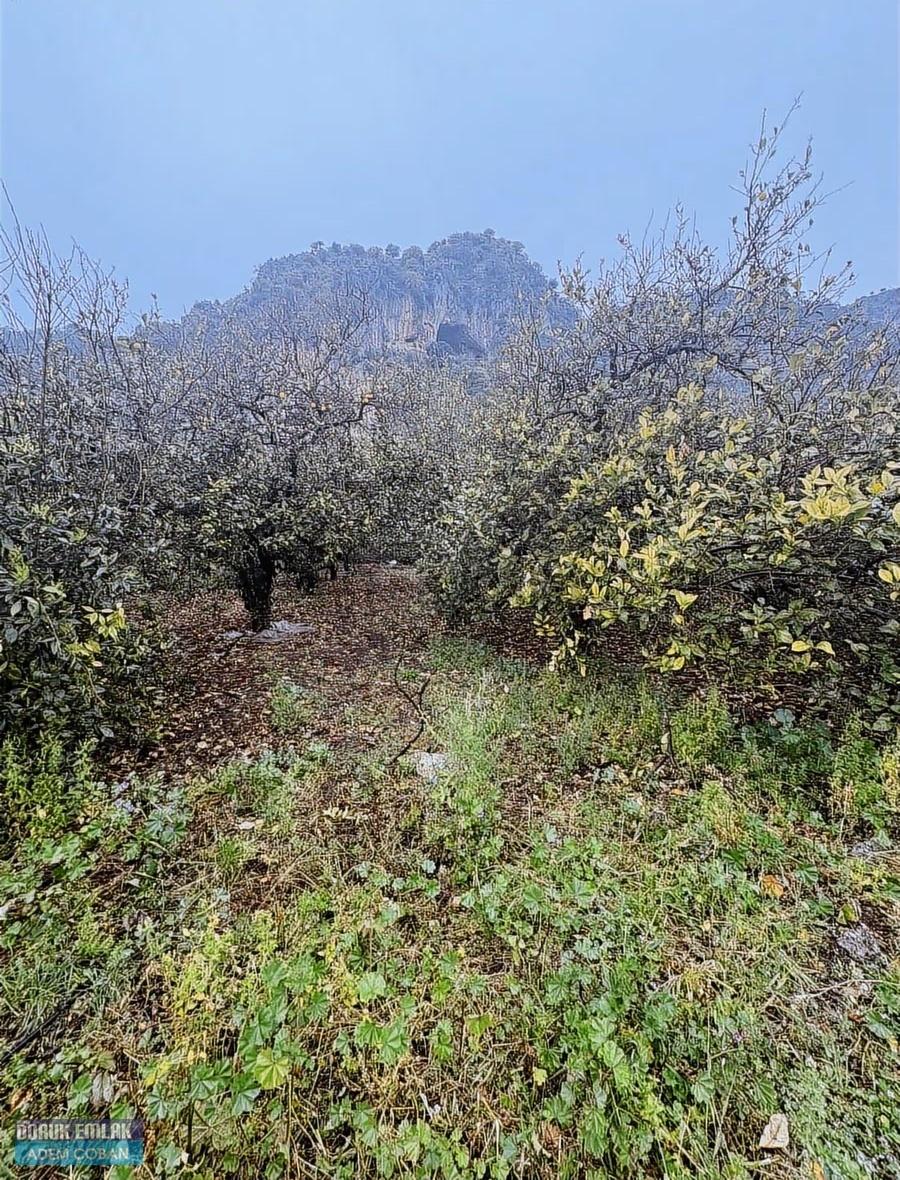 Muğla Ortaca Karadonlar Mahallesinde Satılık Arsa - 2
