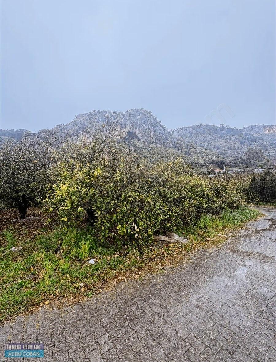 Muğla Ortaca Karadonlar Mahallesinde Satılık Arsa - 6