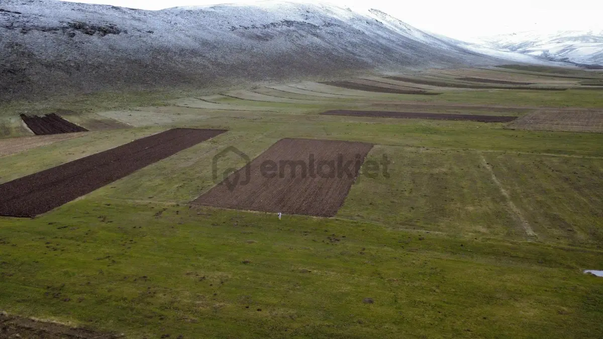 Ağrı Patnos'ta Satılık Tarla - 20