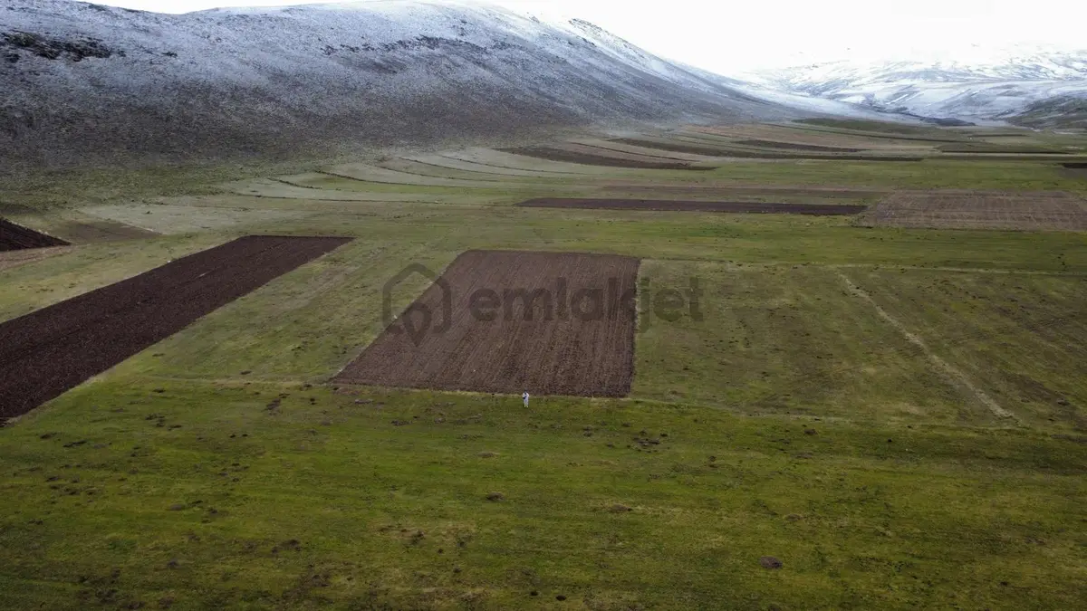 Ağrı Patnos'ta Satılık Tarla - 22