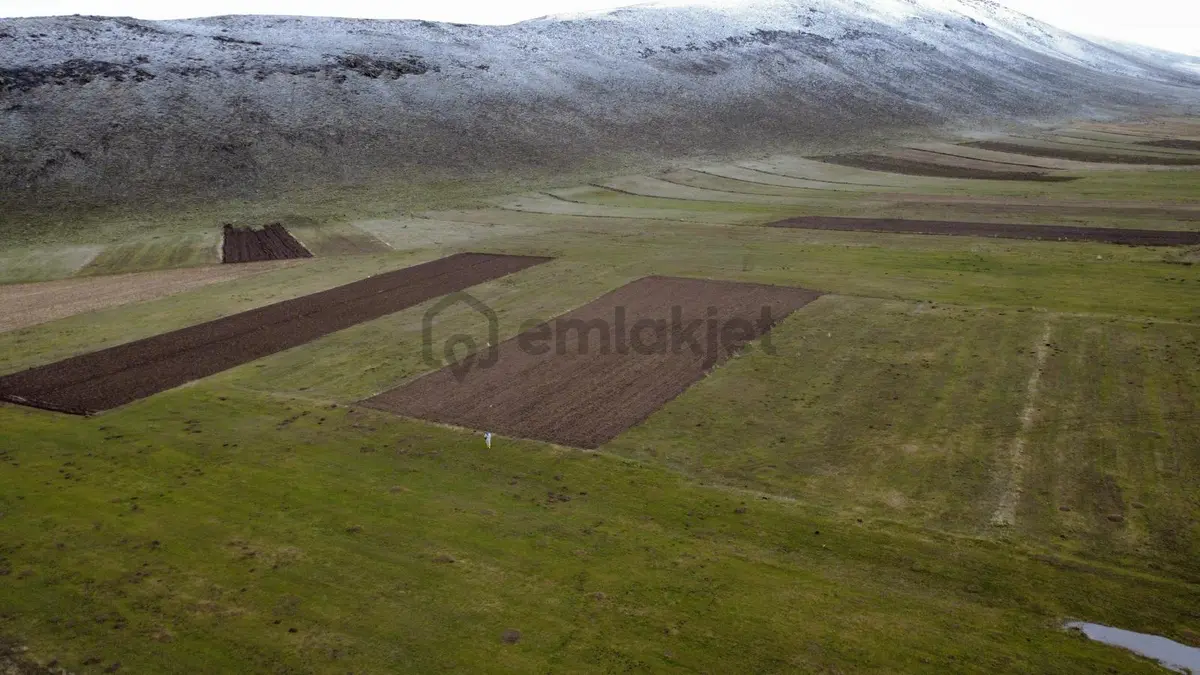 Ağrı Patnos'ta Satılık Tarla - 6