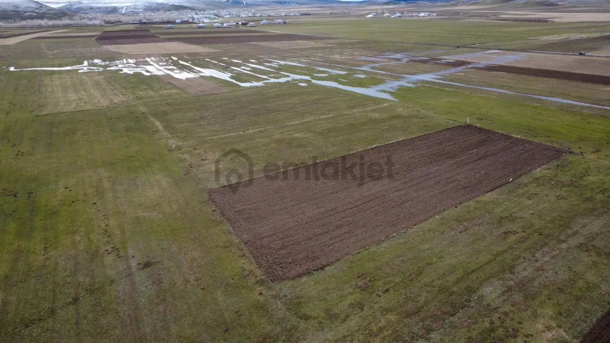 Ağrı Patnos'ta Satılık Tarla - 2