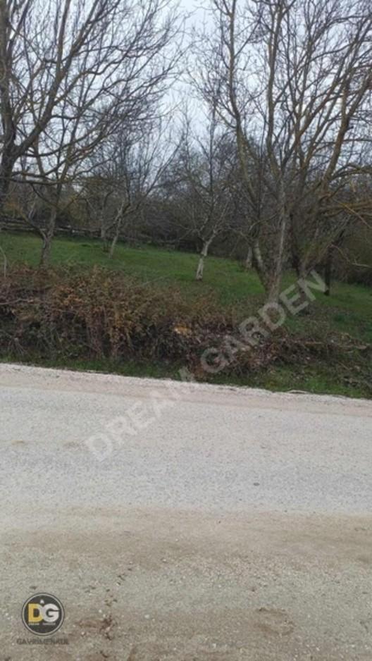 Bursa Keles Ashalta Cephe 888 M² Satılık Tarla - 7