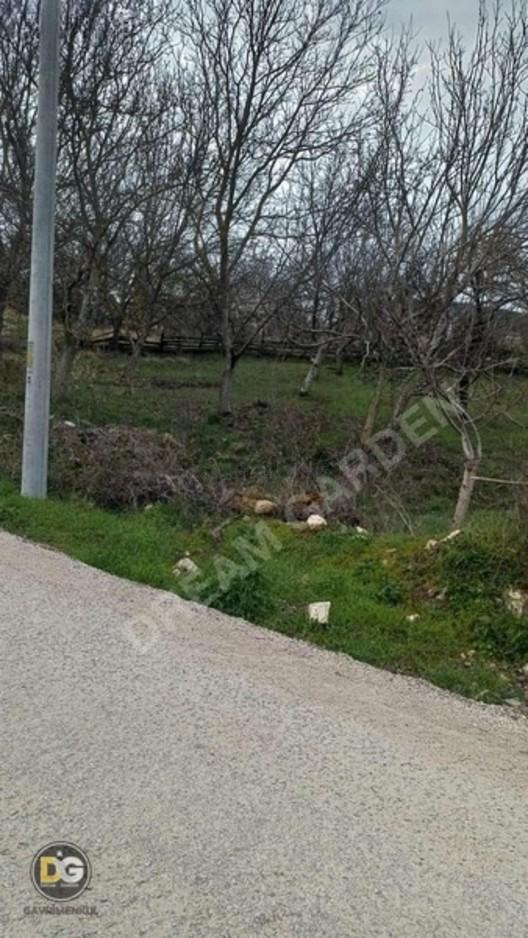 Bursa Keles Ashalta Cephe 888 M² Satılık Tarla - 3
