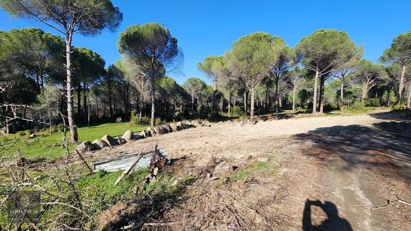 Bergama Kozak Demircidere Bahçe Satılık - 5