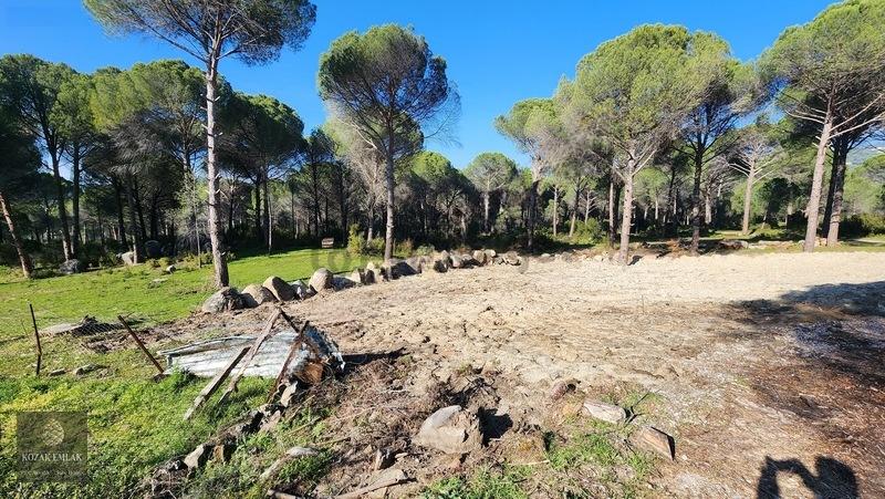 Bergama Kozak Demircidere Bahçe Satılık - 14