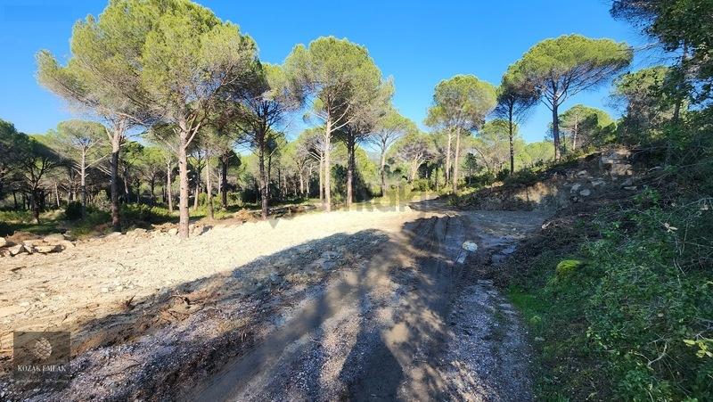 Bergama Kozak Demircidere Bahçe Satılık - 6