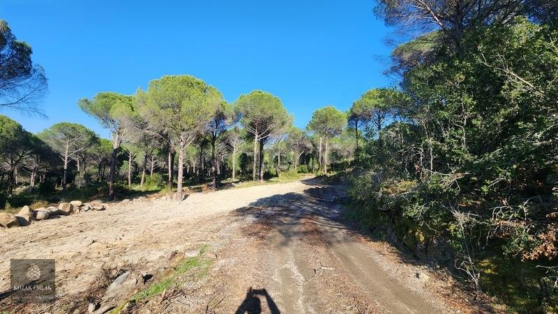 Bergama Kozak Demircidere Bahçe Satılık - 4