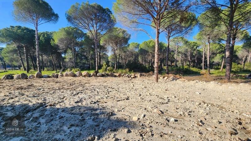 Bergama Kozak Demircidere Bahçe Satılık - 13
