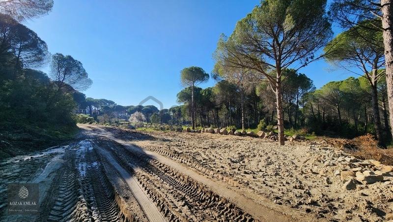 Bergama Kozak Demircidere Bahçe Satılık - 10