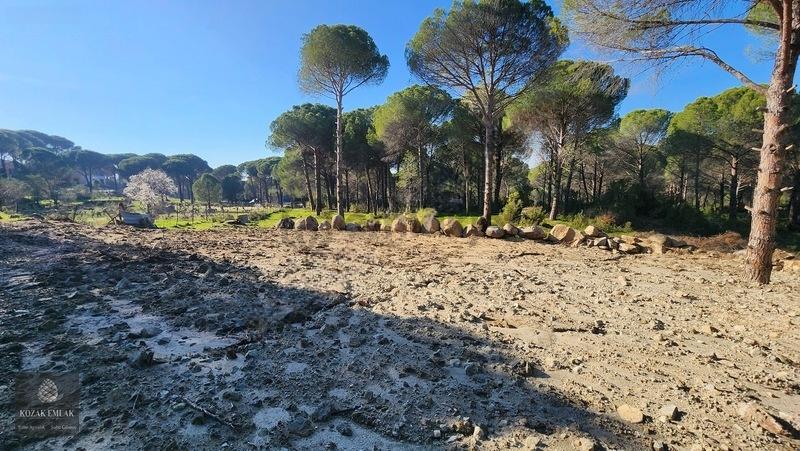 Bergama Kozak Demircidere Bahçe Satılık