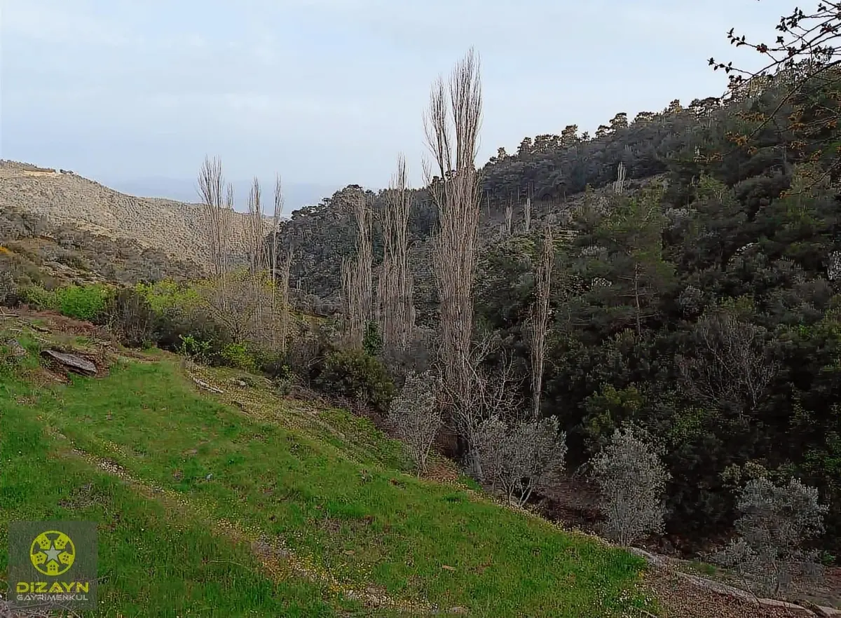 Narhisar Da Bahçe İmarlı - 6