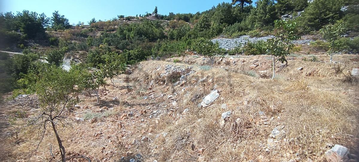 Sahibinden Bademağacı Köyünde - 19